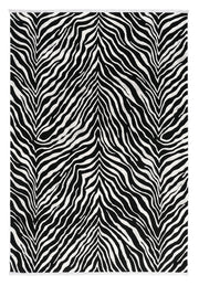 Dolce Vita Carpet Mambo 9055A