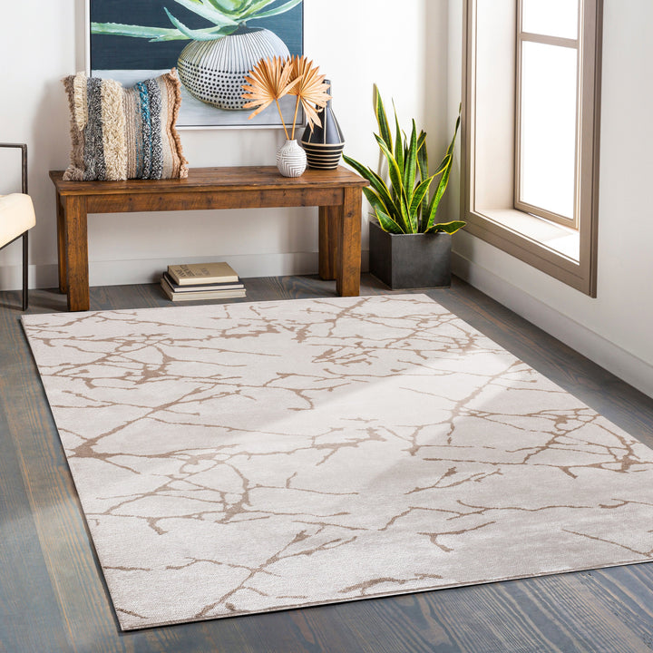 Dolce Vita Rug Ecru 522 Crack Living Room Carpet